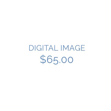 Digital image price